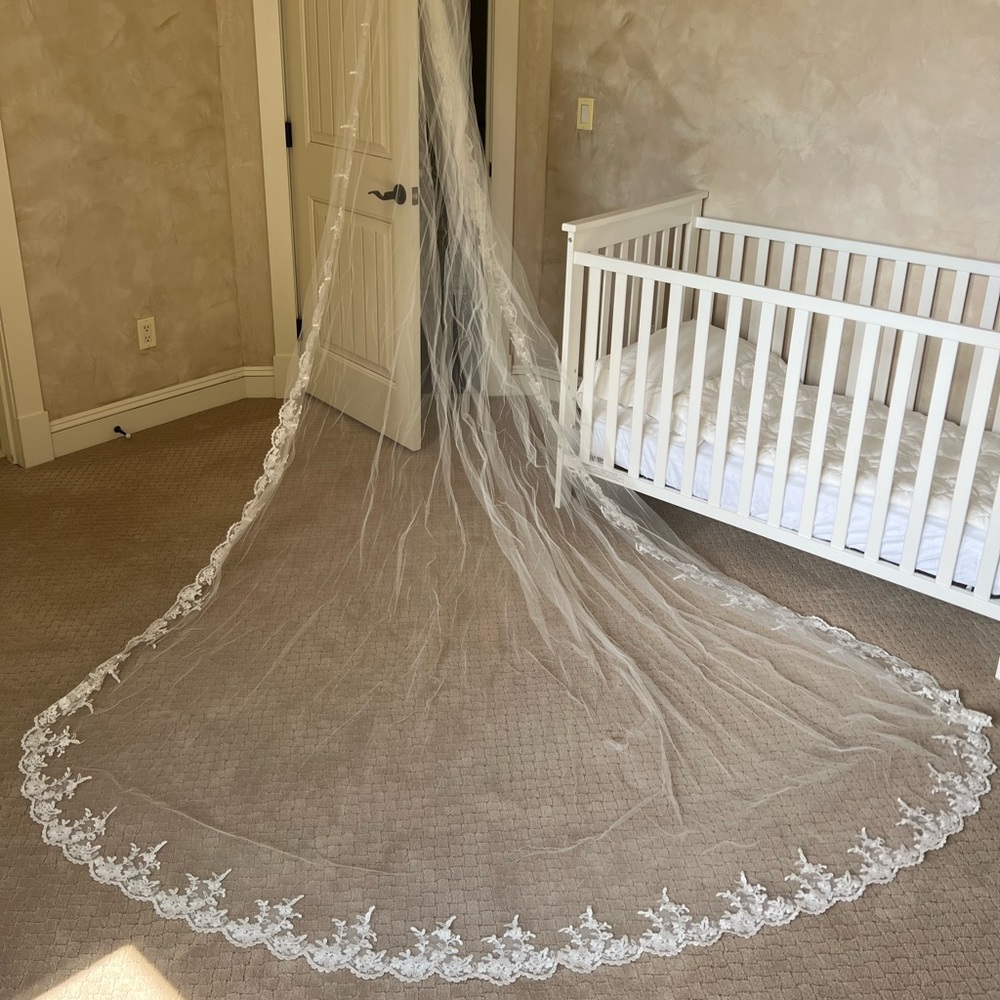 Beautiful long lace wedding Vail